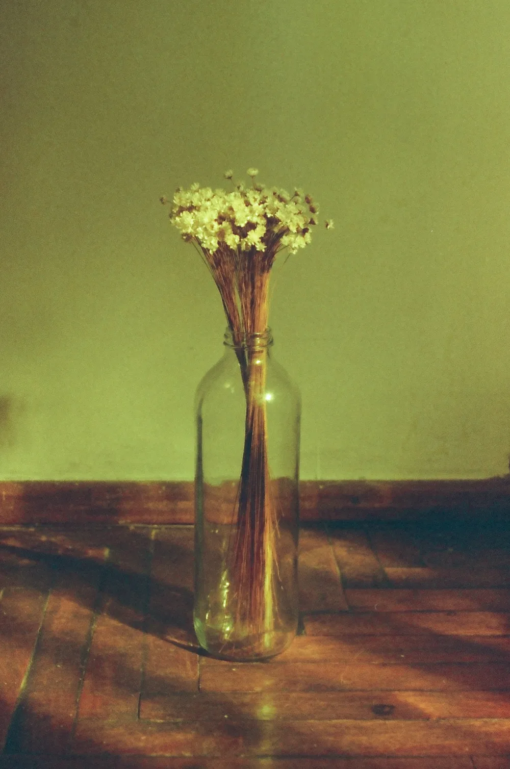 Untitled photograph 1 from “aún guardo las flores”.