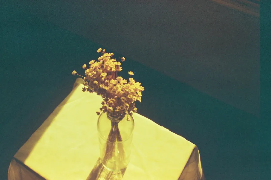 Untitled photograph 2 from “aún guardo las flores”.