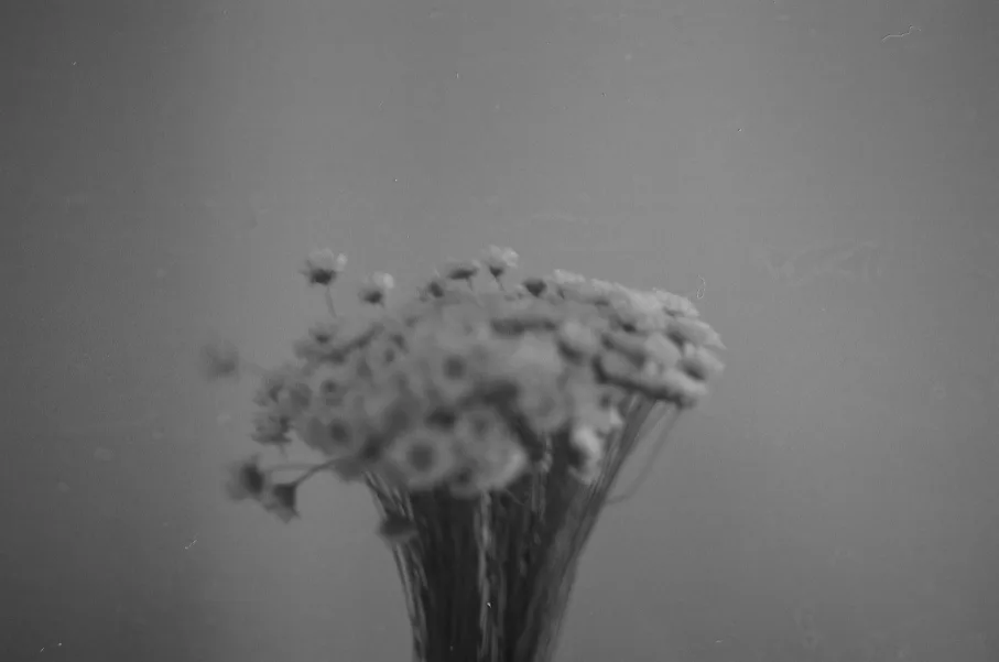 Untitled photograph 2 from “borrador”.