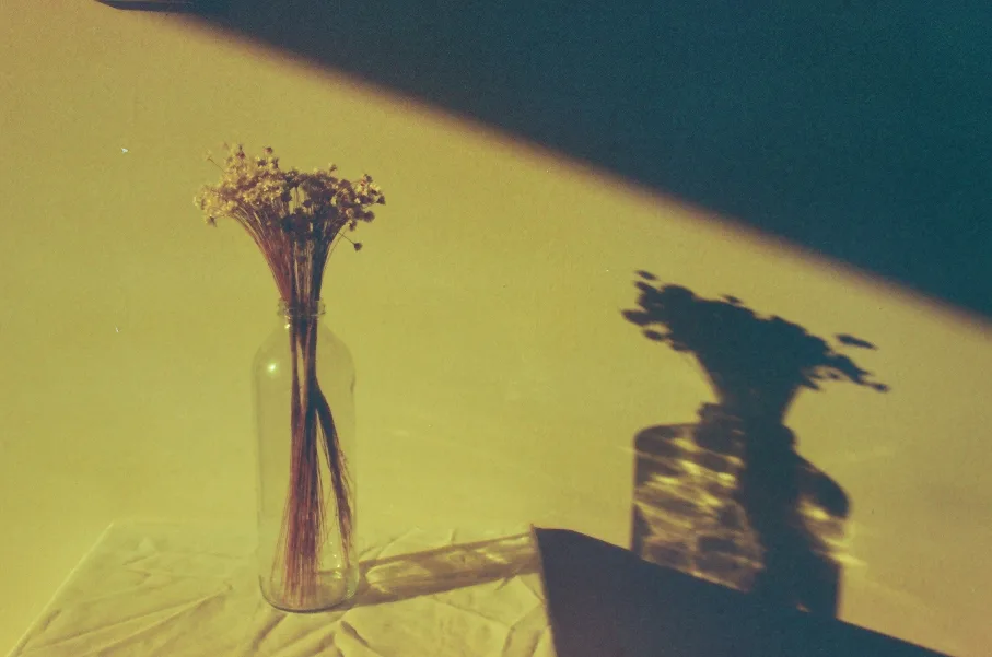 Untitled photograph 3 from “aún guardo las flores”.
