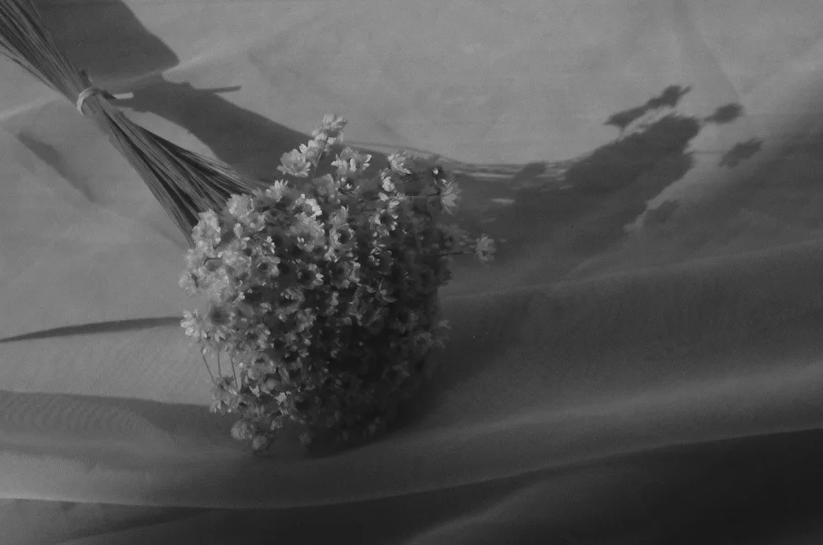 Untitled photograph 4 from “borrador”.