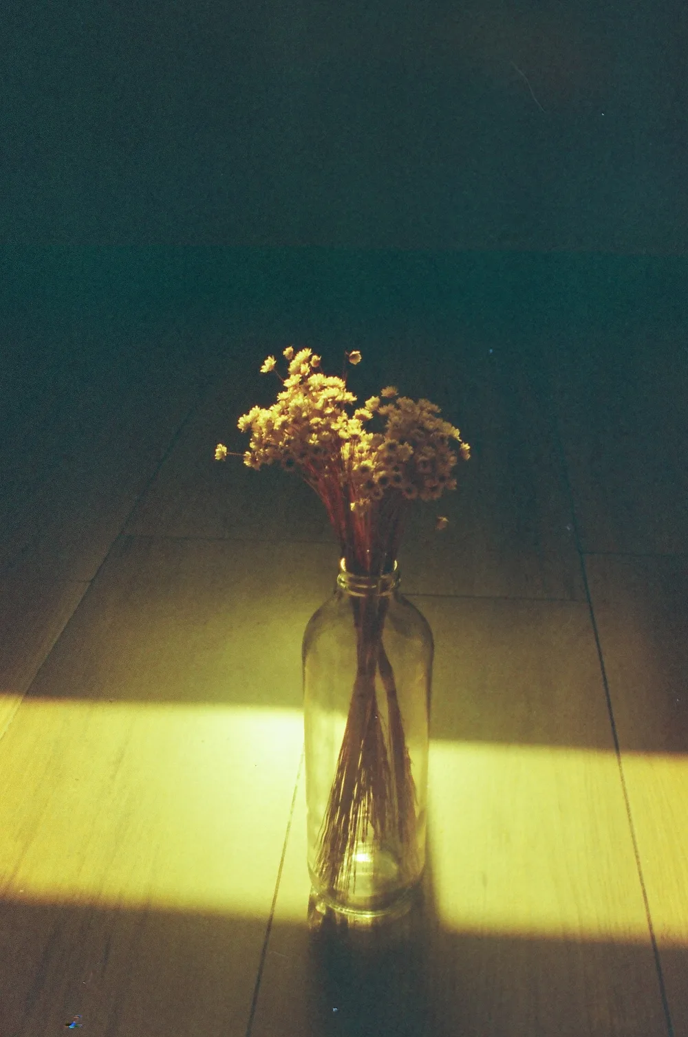 Untitled photograph 4 from “aún guardo las flores”.