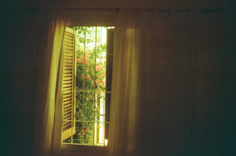 Untitled photograph 6 from “aún guardo las flores”.