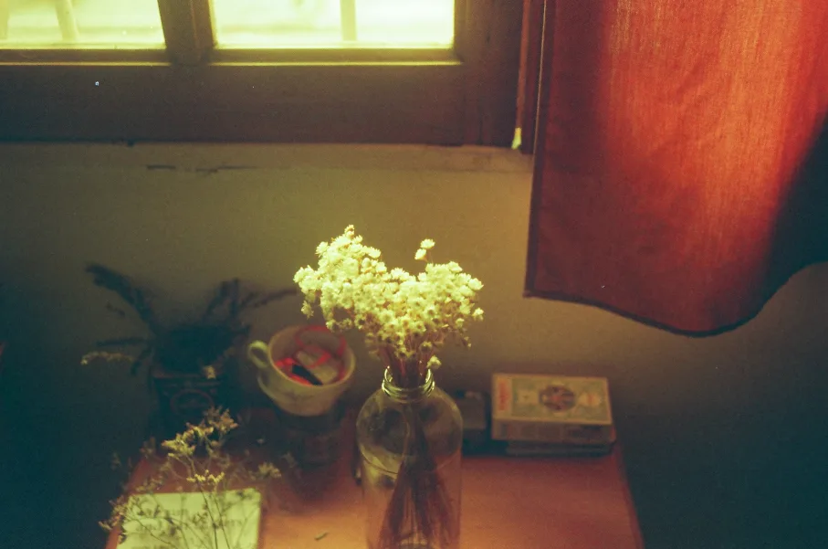 Untitled photograph 7 from “aún guardo las flores”.
