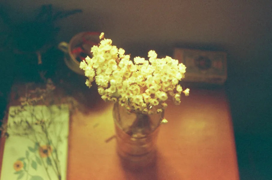 Untitled photograph 8 from “aún guardo las flores”.