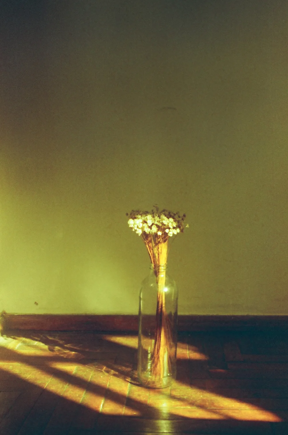 Untitled photograph 9 from “aún guardo las flores”.