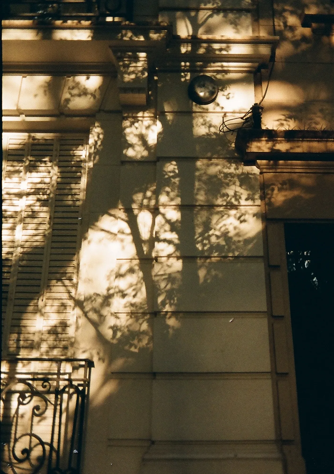 Untitled photograph 4 from “autumn leaves”.