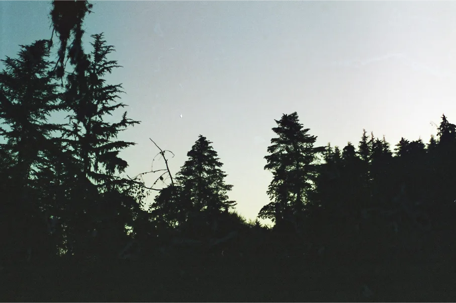 Untitled photograph 9 from “let's be still”.