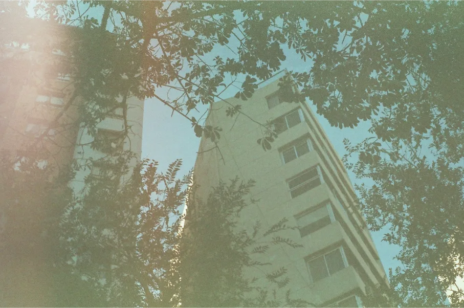 Untitled photograph 10 from “let's be still”.
