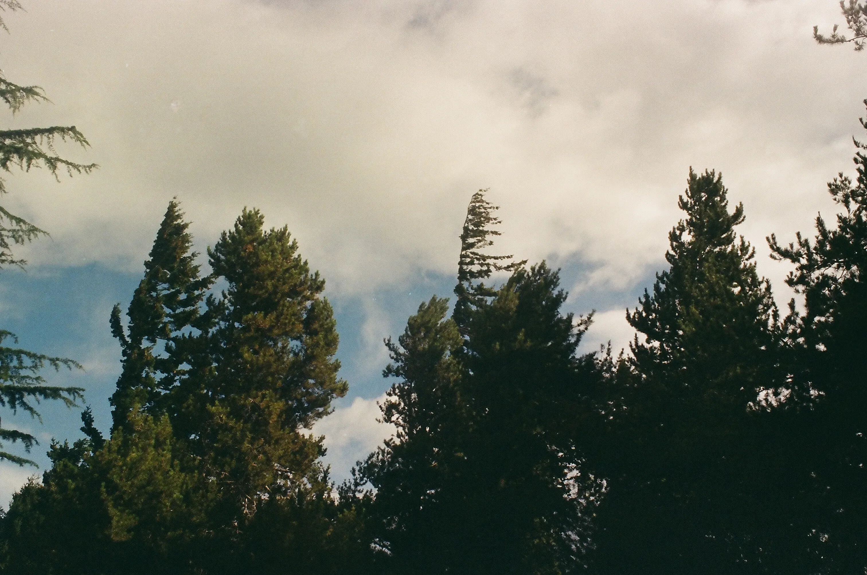 Untitled photograph 7 from “sur”.